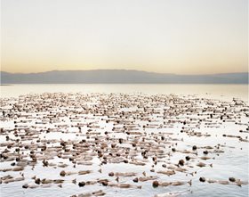 Spencer Tunick’s Kickstarter funded project, Naked Sea (detail)